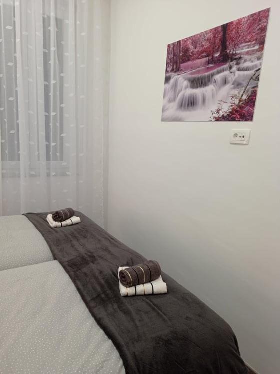 Apartman Cezar Apartment Rijeka Bagian luar foto