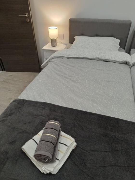 Apartman Cezar Apartment Rijeka Bagian luar foto